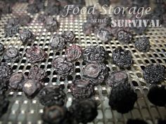 blackberries are sitting on top of a metal grate with the words food storage and survival