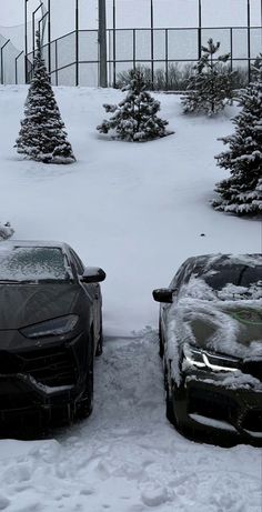 two cars covered in snow next to trees