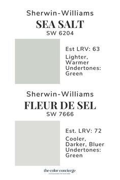 the color scheme for sherylin - williams sea salt is shown in white and gray