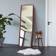 a large mirror sitting on top of a floor next to a potted plant