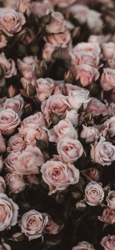 a bunch of pink roses that are in the middle of some sort of flower arrangement