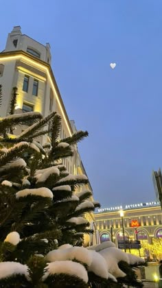 a christmas tree in front of a large building