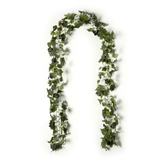 ivy and white flowers are arranged in the shape of an arch