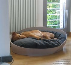 a dog laying on top of a round bed