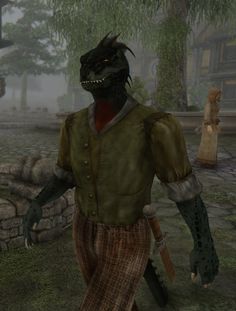 Enhanced Beast Races alternate male Argonians at Oblivion Nexus - mods and community India Vs Pakistan, Tips For Artists, Black Tree, Games Images, Chic Hairstyles, Fantasy Sci Fi