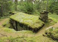 a moss covered building in the middle of a forest