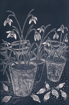 three potted plants with white flowers on a black and white background, drawn by hand