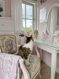 Cat Apartment Aesthetic, Shabby Chic Aesthetic, Blue Rooms