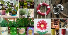 many different types of potted plants are shown in this collage, including flowers and wreaths