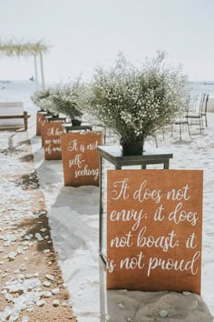 there are some signs on the beach with flowers in vases next to each other