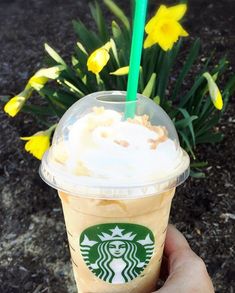 someone holding up a starbucks drink with yellow flowers in the background