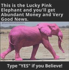 an elephant with pink paint on it's face walking in the sand and texting that says, this is the lucky pink elephant and you'll get abundant money and very good news