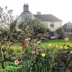 a house with lots of flowers in front of it and some bushes around the yard