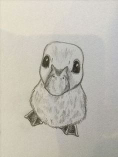 a pencil drawing of an owl sitting on top of a piece of paper with its eyes open