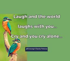 two birds sitting on top of a tree branch with the caption laugh and the world laughs with you cry and you cry alone