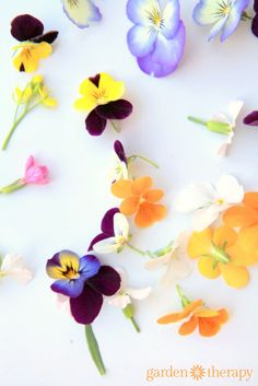 colorful flowers are scattered on a white surface