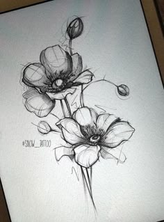 a drawing of three flowers on a sheet of paper