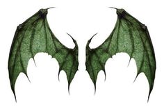 two green dragon wings are shown against a white background, one is facing the opposite direction