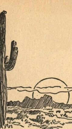 a drawing of a cactus in the desert