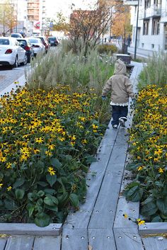 a young child walking down a sidewalk next to tall grass and flowers on either side of the walkway