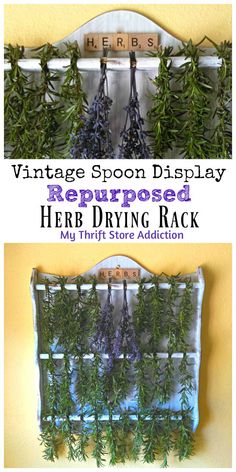 an herb drying rack with herbs hanging from it and the words vintage spoon display repurposed here drying rack my thrift store auction