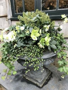 a planter filled with lots of flowers sitting on top of a cement slab next to a window