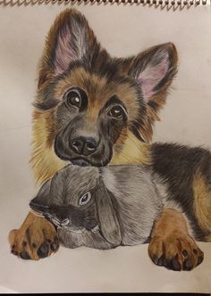 a drawing of two dogs laying next to each other