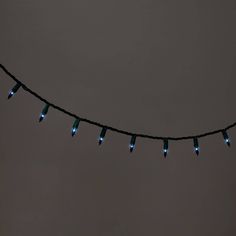 These adorable 100-Count Incandescent Smooth Mini Christmas String Lights from Wondershop™ make a fun and festive addition to your indoor or outdoor holiday decor. Featuring 100 incandescent lights in miniature bulbs, this string light strand measures 21.12 feet in total length and requires an electric power source. They're strung on wires that'll blend effortlessly into your Christmas tree or other plants so only the lights show, and they come with a 1-year limited warranty so you don't have to Blue Light Bulb, Blue String Lights, Mini String Lights, Blue Dinner Plates, Bulbs Indoor, Large Balloons, Green Theme, Christmas String Lights, Outdoor Holidays