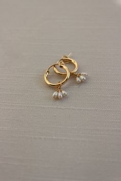 "Modern, minimal and fresh! These earrings feature a mini hoop that hugs the earlobe and a genuine tiny 2-3mm freshwater pearl cluster dangle. They are perfect for everyday wear! Lightweight and comfortable to wear. Wear them two ways - slide the dangle off to wear just the simple hoop earring. D E T A I L S Materials: 14K Gold Fill or Sterling Silver Closure: latch hook S I Z E S Measures appox. 1 1/4\" in length M A T E R I A L S With so many terms to describe gold jewelry, it can be confusing Dainty Pearl Earrings, Elizabeth Jewelry, Sunshine Necklace, Simple Hoop Earrings, Pearl Dangle Earrings, Mini Hoop Earrings, Classic Earrings, Pearl Cluster, Minimal Jewelry