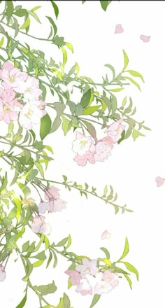 pink flowers and green leaves on a white background with butterflies in the sky behind them