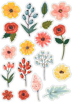 an assortment of flower stickers on a white background