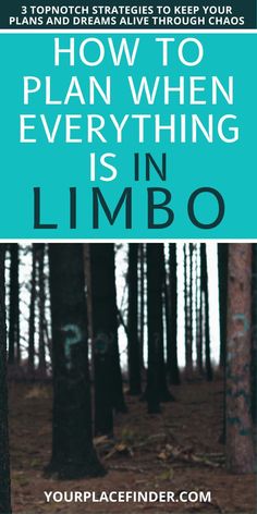 a book cover with the title how to plan when everything is in limbo written on it