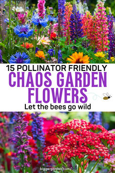 A mix of colorful wildflowers, including blue cornflowers, orange blooms, and lupines, in a lively chaos garden designed to attract bees and pollinators. Chaos Gardening Flowers, Bumblebee Garden, Bee Attracting Flowers, Flowers For Butterflies, Bee Flowers, Bee Friendly Garden, Attracting Bees, Bee Friendly