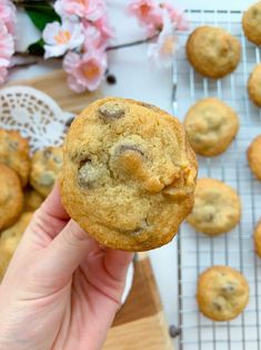 a hand holding a chocolate chip cookie over a cooling rack with more cookies in the background