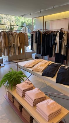 clothes on display in a clothing store with plants growing out of the top shelfs