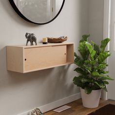 a wooden shelf sitting next to a potted plant on top of a white wall