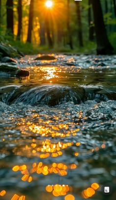 the sun shines brightly through the trees and water in this riverbed scene, which is surrounded by rocks