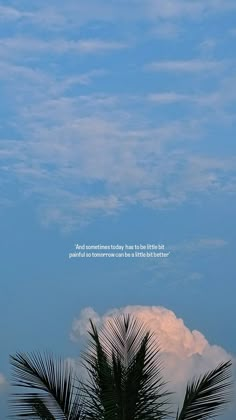 there is a palm tree in the foreground and a sky background with clouds above it