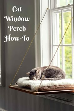 a cat sitting on top of a window sill with the words, cat window perch how - to