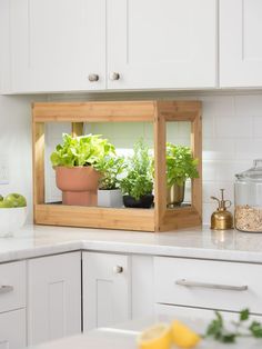 a kitchen with white cabinets and plants in the window sill on the counter top