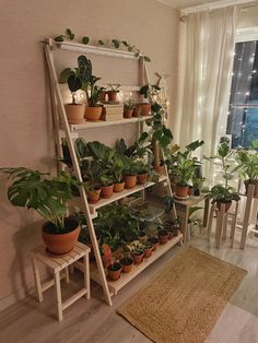 a room filled with lots of potted plants on top of shelves next to a window