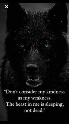 a wolf with blue eyes and the words don't consider my kindness as my weakness