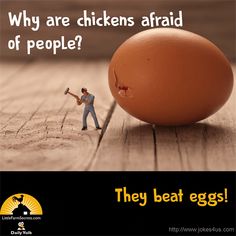 an egg with a man holding a hammer next to it and the words why are chickens afraid of people? they beat eggs