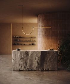 a large stone counter in front of a wall with shelves on it and a potted plant next to it