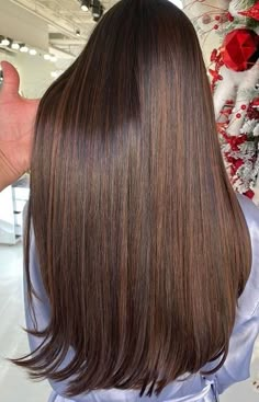 Balyage Long Hair, Long Hair Highlights, Haircuts For Long Hair With Layers, Hair Color Chocolate, Wine Hair, Brown Hair Looks, Hair Colour Ideas