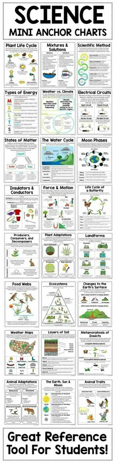 the science poster is shown with text and diagrams