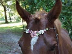 a brown horse wearing a flower crown on its head