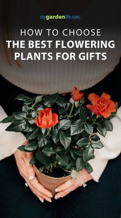 a woman holding a potted plant with the words how to choose the best flowering plants for gifts