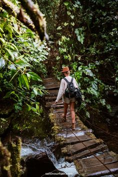 a woman walking across a wooden bridge in the jungle