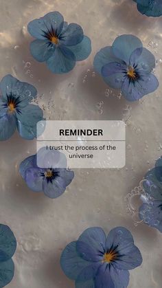 blue flowers floating in water with the caption reminder trust the process of the universe